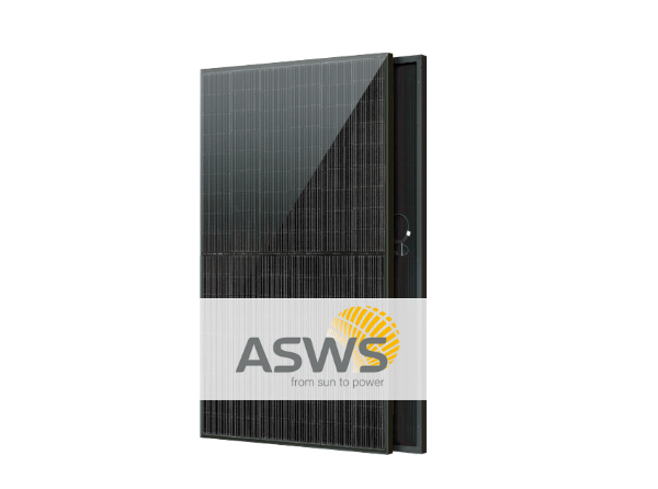 ASWS Strong Style 450 Watt